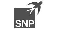 SNP Schneider-Neureither & Partner AG
